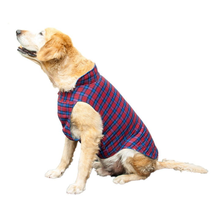 Roamer Reversible Outdoor Dog Jacket