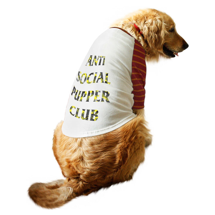 Anti Social Pupper Club Striper Raglan Dog Streetwear Tee
