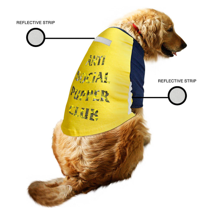 Anti Social Pupper Club Reflective Raglan Dog Tee | Visibilitee Collection